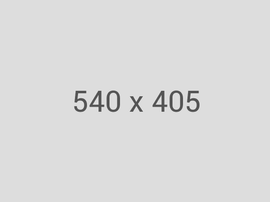 Website 2